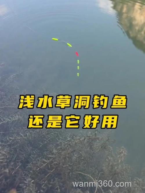 水草洞里钓鲫鱼的技巧