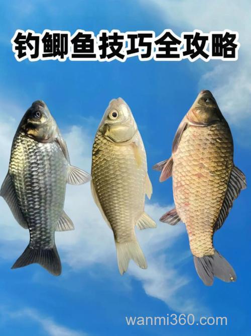 怎么才能在穇子堆里钓鲫鱼