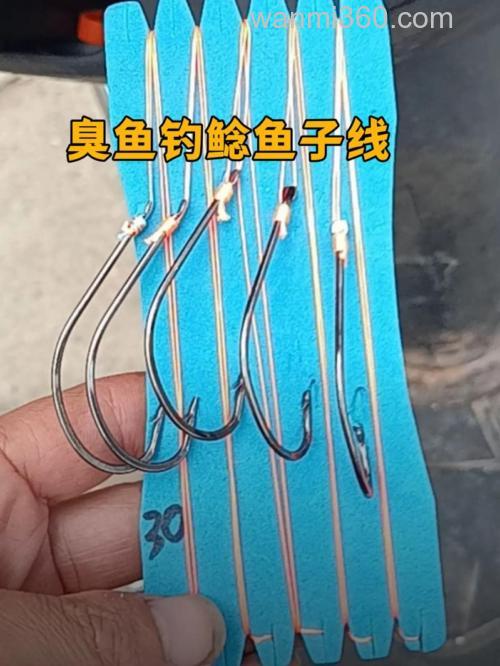 臭鱼饵钓鲶鱼用多大线组?