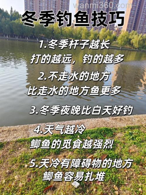 现在这个气温怎样钓鲫鱼?