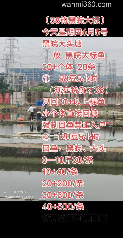 黑皖什么时间段最好钓?