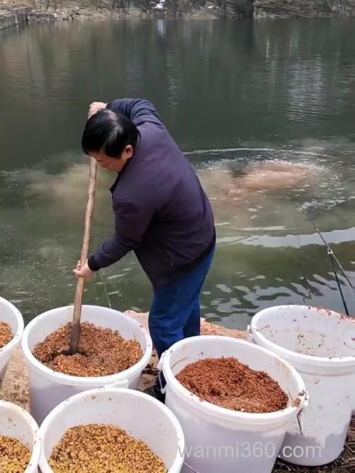 钓鱼喂窝子