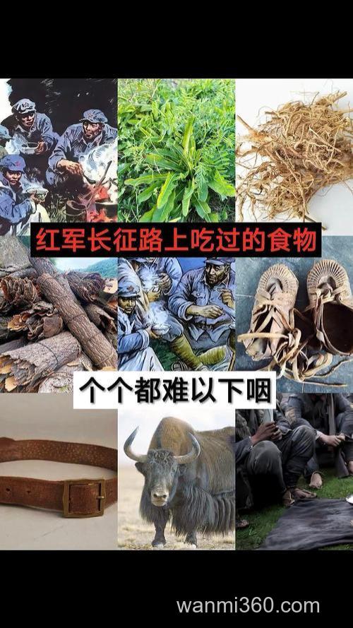 长征时红军吃的食物,你敢吃哪一种?