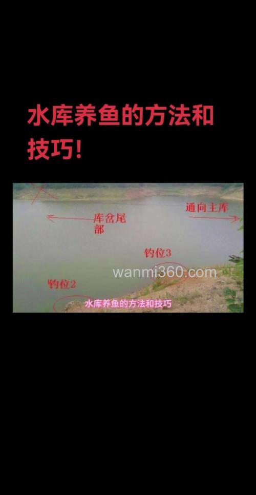 图解各种库型的水库选位技巧