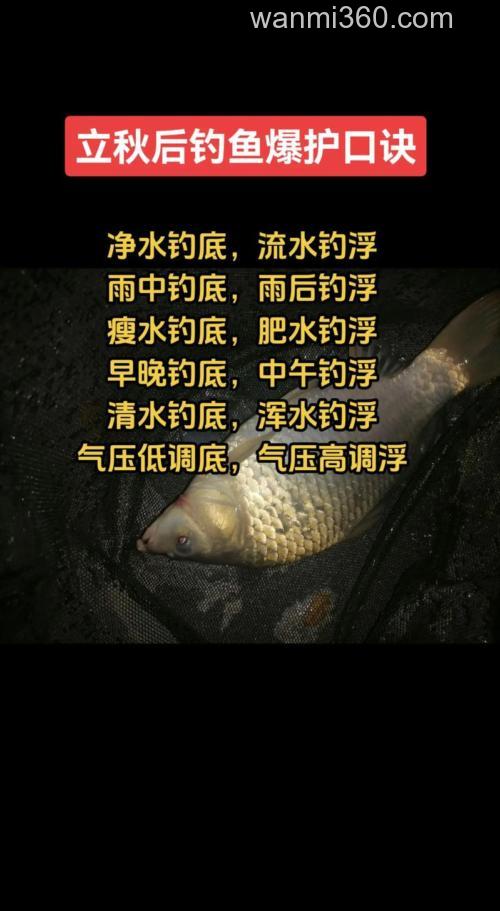 秋天雨后钓鱼怎么钓?掌握技巧能爆护!