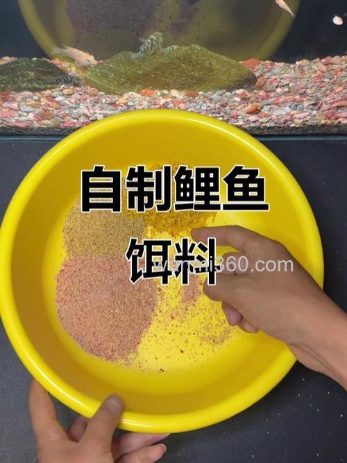 钓鲤鱼自制饵料