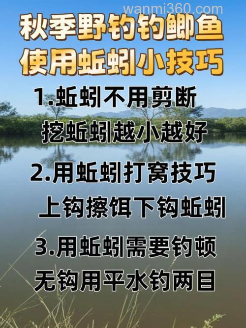 怎样用蚯蚓钓鲫鱼