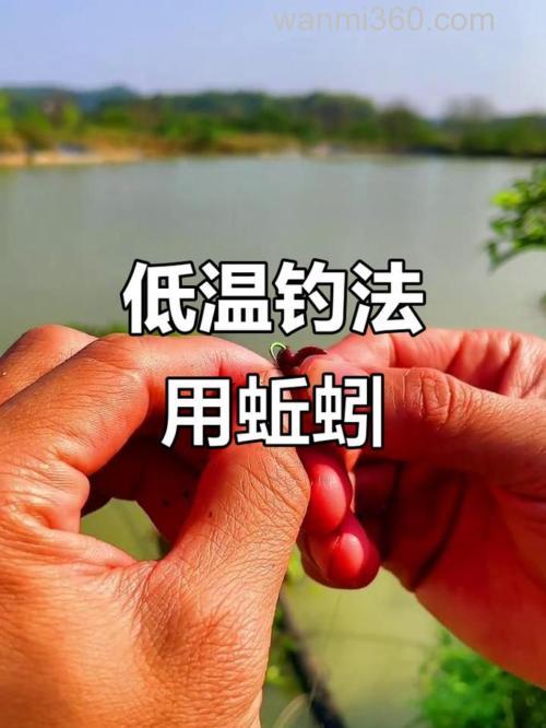 蚯蚓用酒泡过后用来钓鱼怎么样？