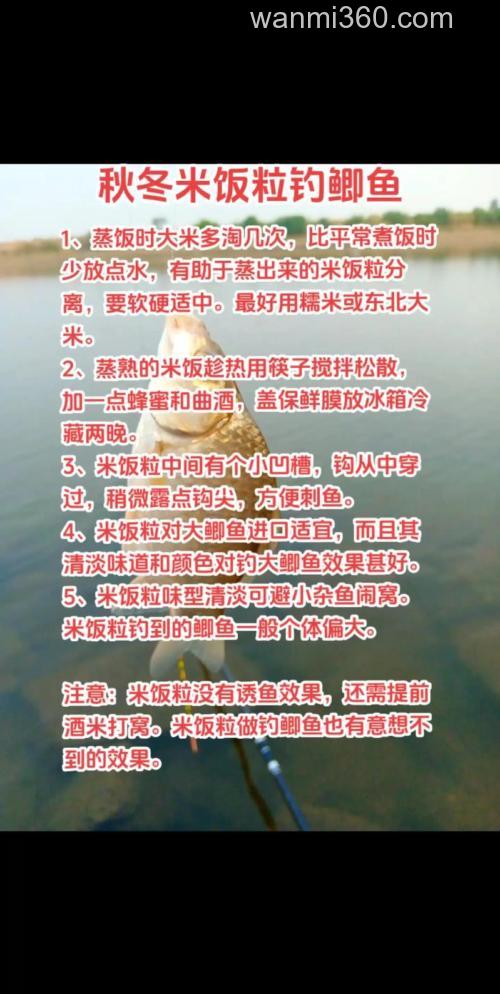 米饭粒钓鱼绝密配方?