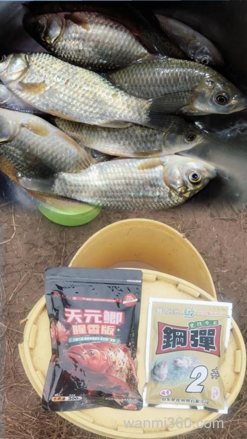 天元三号鲫怎么用?