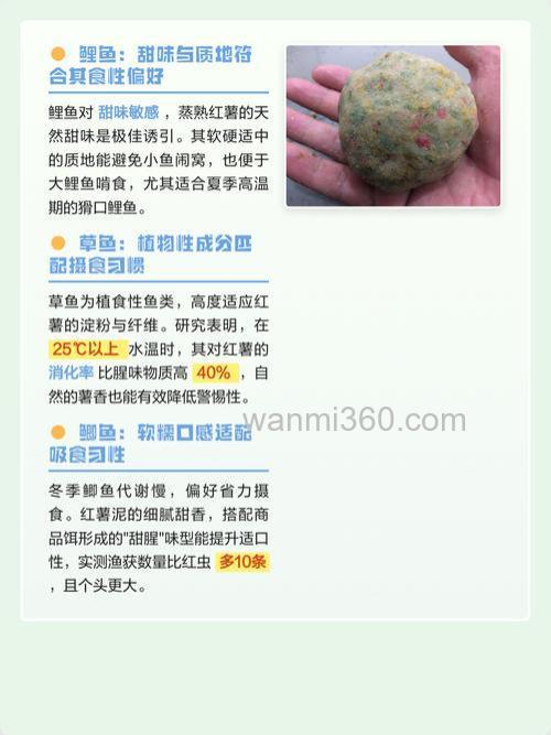 番薯钓鱼最佳配方?