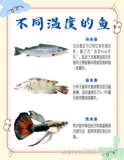 降温后鱼都去哪了?降温后鱼几天能恢复?