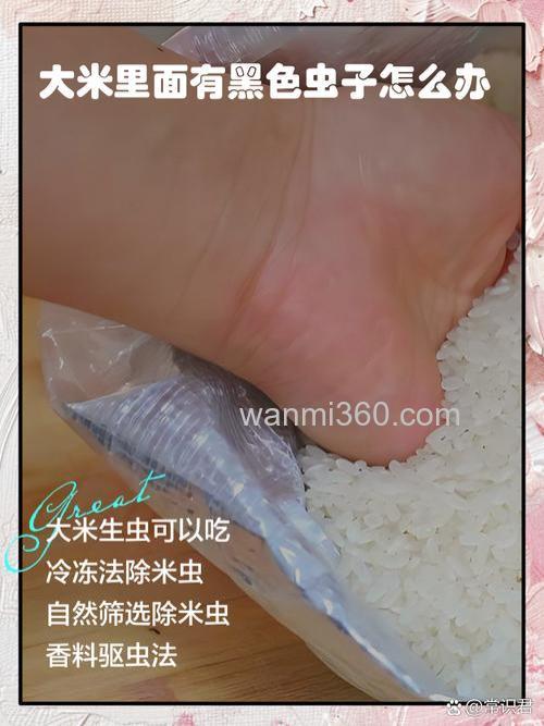 变质的大米如何制作鱼饵