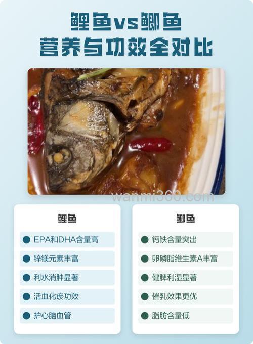 鲫鱼与鲤鱼哪个更有营养