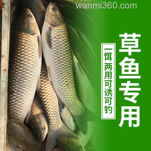 现在夜间什么时候最好钓草鱼？用什么商品饵料