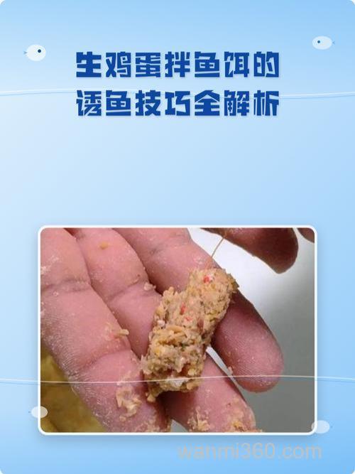 如何拌鱼饵料