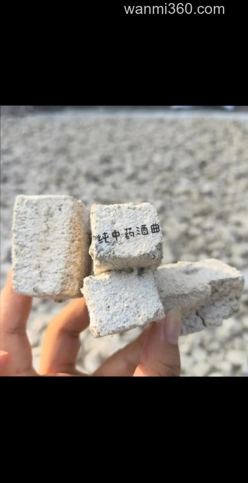酒曲是什么东西?在哪里可以买到