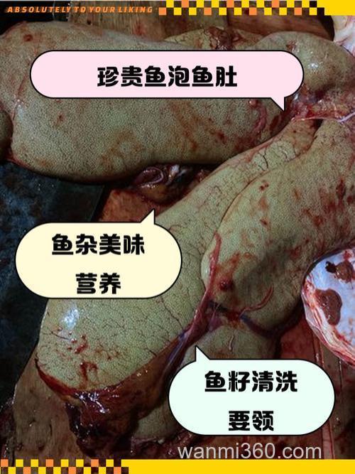 吃动物内脏的鱼有哪些?