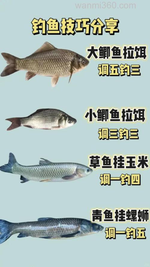 我想去钓鱼 不知现在还可以钓吗 用什么鱼食最好