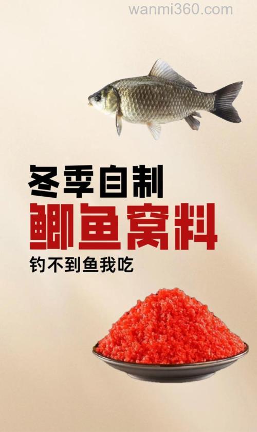 冬用鲫鱼专用窝料?