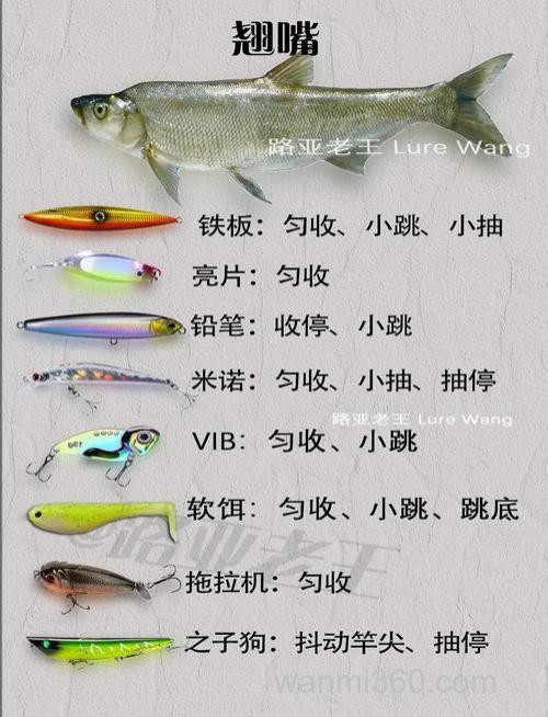 公饵的正确配方和用途?