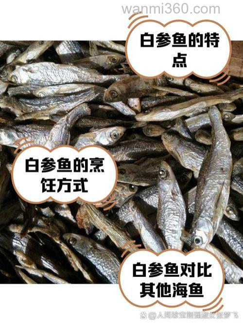 白参鱼的食用方法？