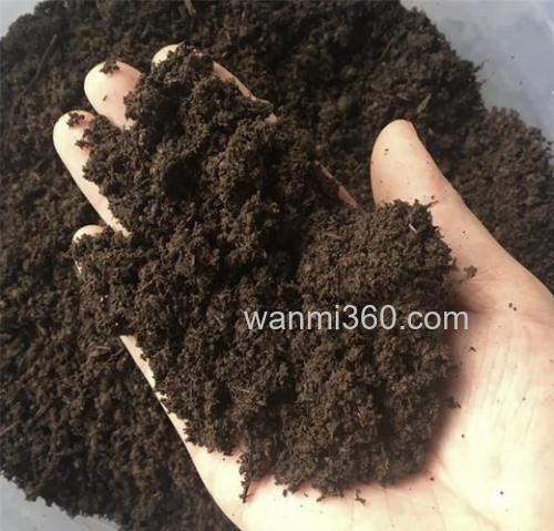 求教,蚯蚓的基料是什么?