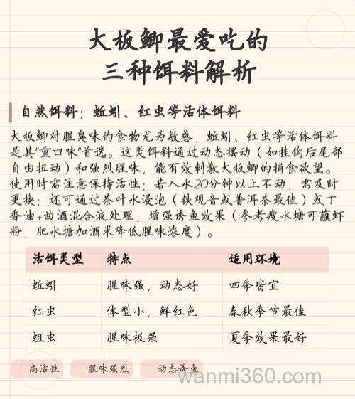 大板鲫喜欢吃什么饵料