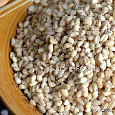 用脱皮麦仁做钓饵怎么泡制?