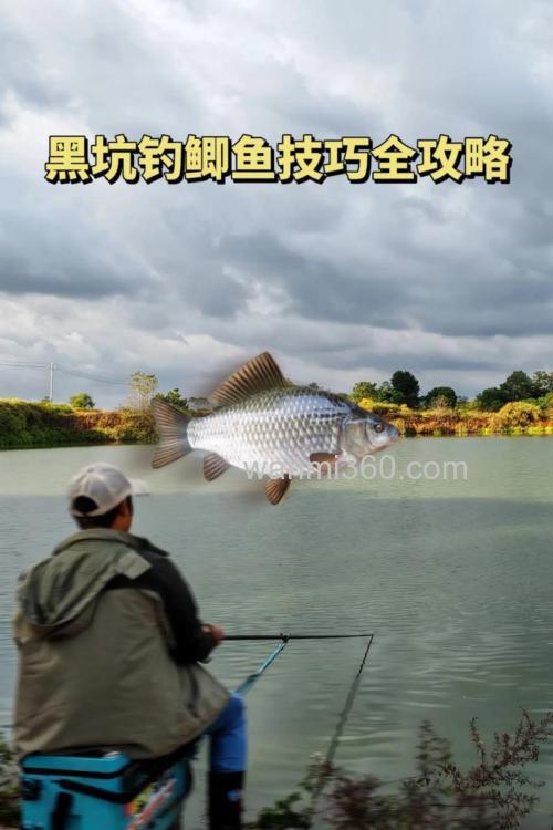 冬天黑坑钓鲫鱼可以加果酸吗?