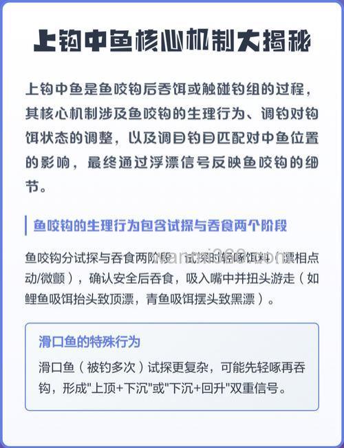 为什么总是上钩中鱼呢?