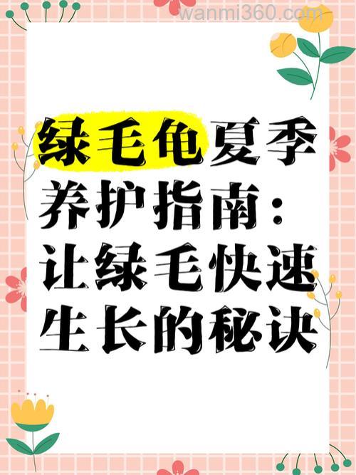如何快速使绿毛龟毛长长