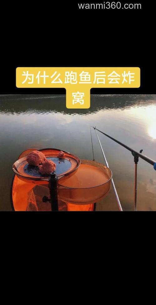 炸窝以后多久可以钓鱼?