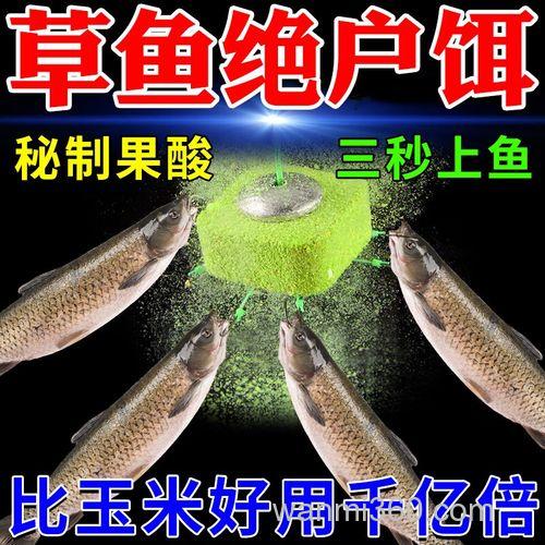 黑坑钓草鱼用什么饵料最好,怎样垂钓?