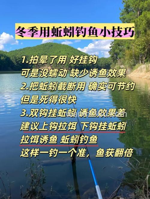 冬季钓草鱼用黑蚯蚓l有效果吗