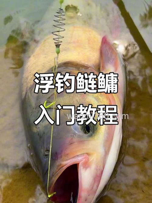 钓鲢鳙怎么选鱼竿?