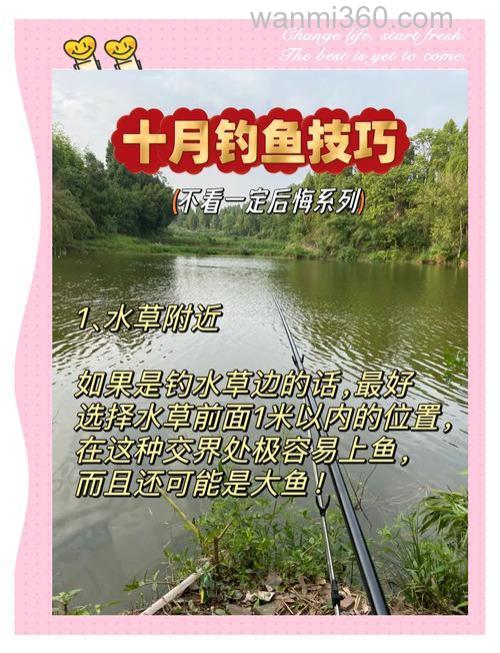 秋季野钓的技巧和方法