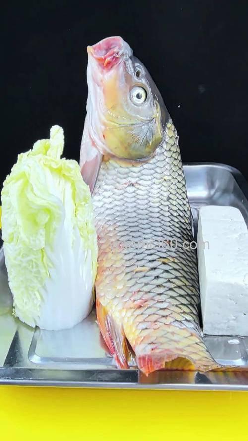 鲤鱼冬天吃什么?