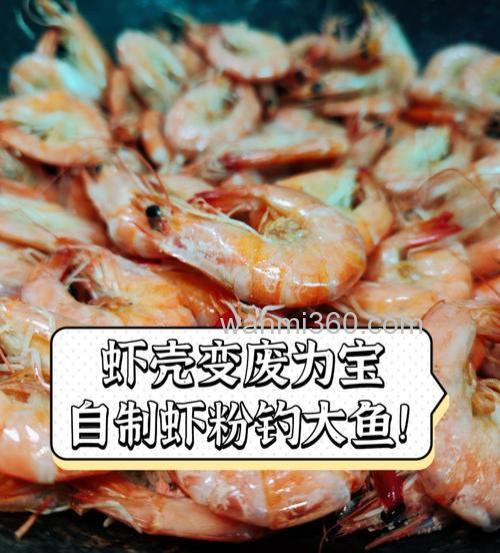 虾壳自制虾粉,冬季钓鱼好用的腥饵
