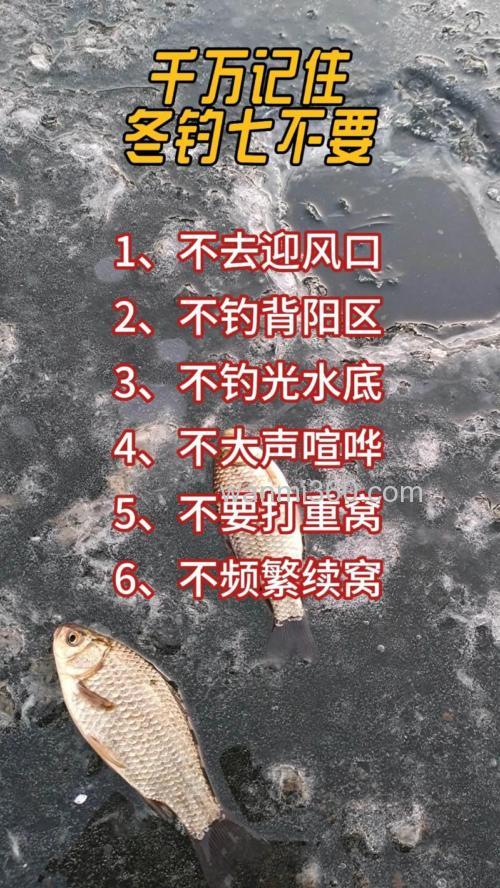 冬季哪些情况不适合钓鱼?有4钓4不钓的说法!