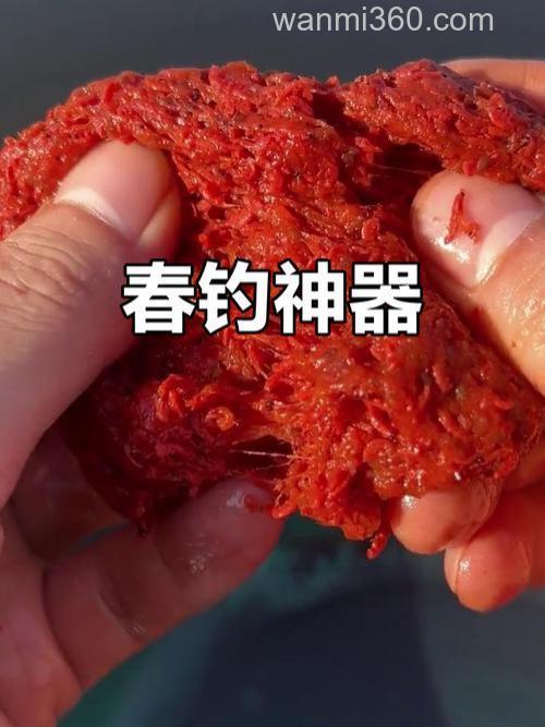春节钓鲫鱼用什么饵料最好？