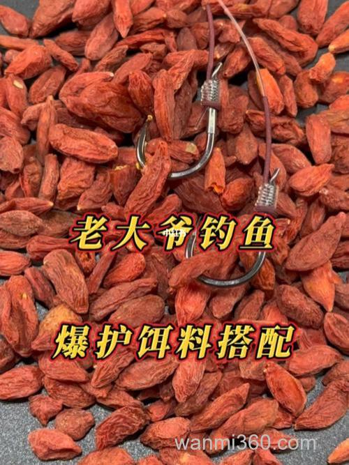 枸杞鱼饵的做法?