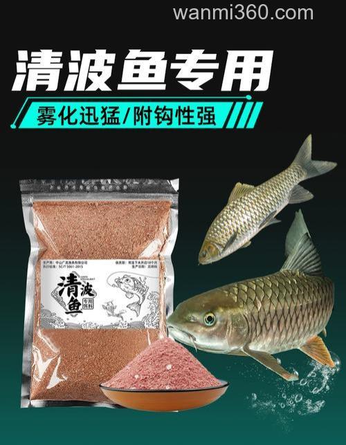 清波鱼最佳商品钓饵?