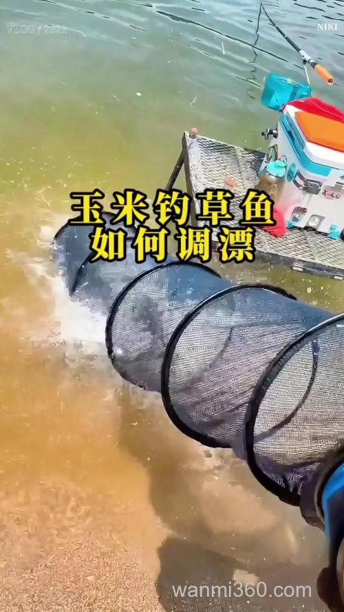 邓刚玉米钓草鱼调漂的正确方法？