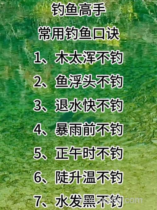 夏季钓鲤鱼的几大诀窍!