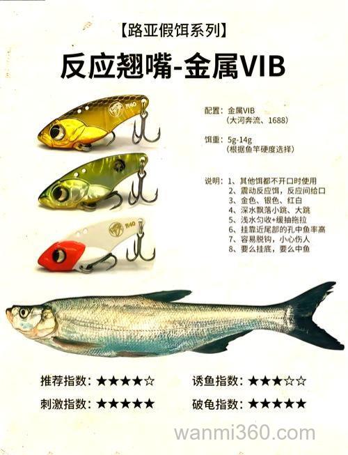 钓鱼初学者买什么饵料来用好呢?