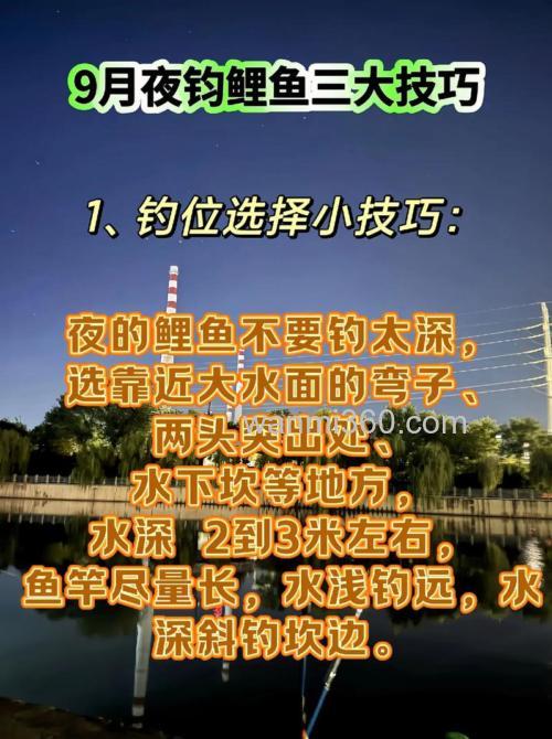 六月份如何钓鲤鱼?