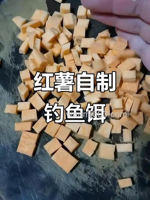 抛竿钓鱼挂红薯最好方法 自制红薯饵通杀大鲤大鲫