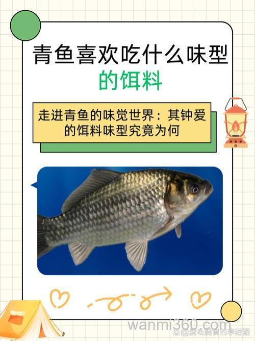 青鱼喜欢吃什么鱼饵?