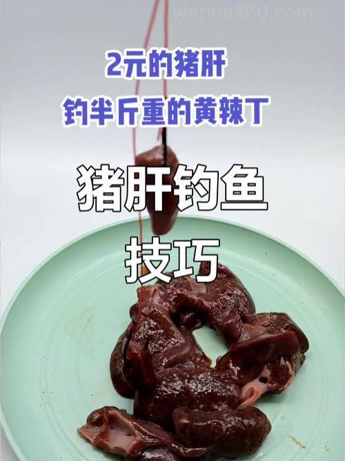 用瘦肉和猪肝那个钓鱼好